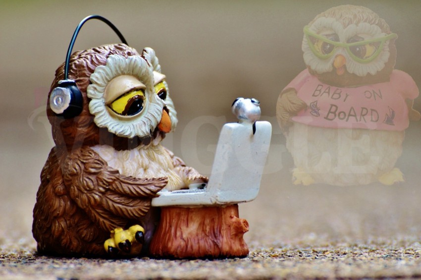 owl computer