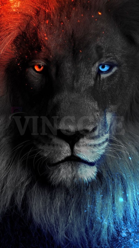 Lion Color Eyes HD Phone Wallpaper
